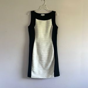 Size 10 Calvin Klein Black and White Dress